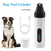 Pet Supplies
